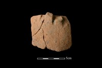 藏品(陶片)的圖片